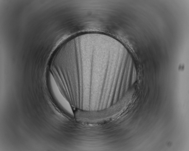 X0000097890108200804041320