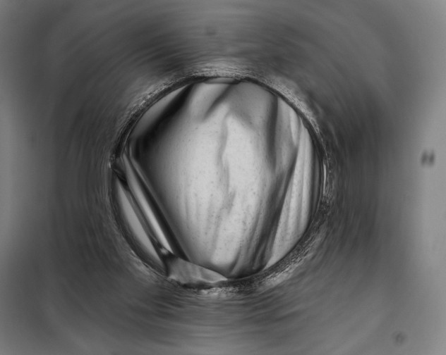 X0000097890109200804041320