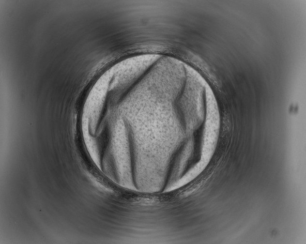 X0000097890110200804041320