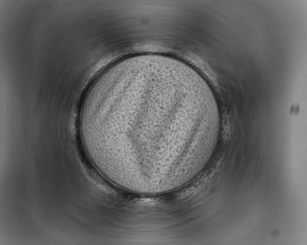 X0000097890111200804041320