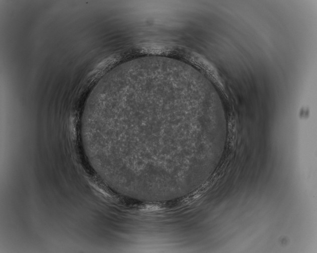 X0000097890114200804041319