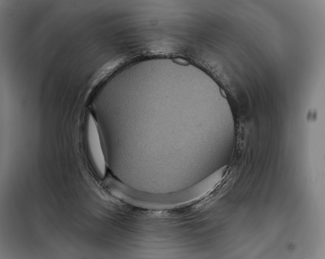 X0000097890116200804041319