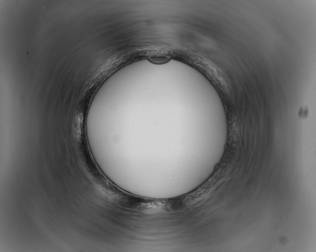 X0000097890118200804041319