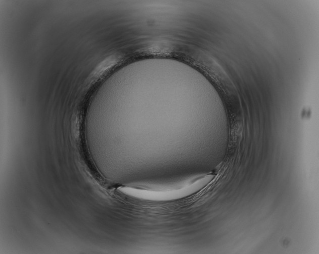 X0000097890120200804041319