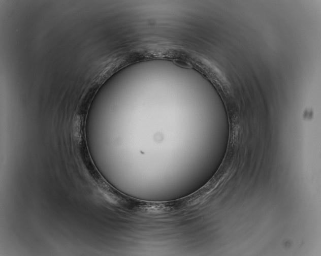 X0000097890121200804041319