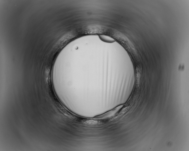 X0000097890123200804041319