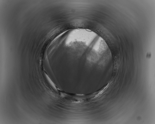 X0000097890124200804041319