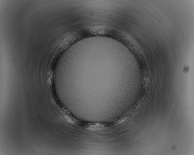 X0000097890125200804041319