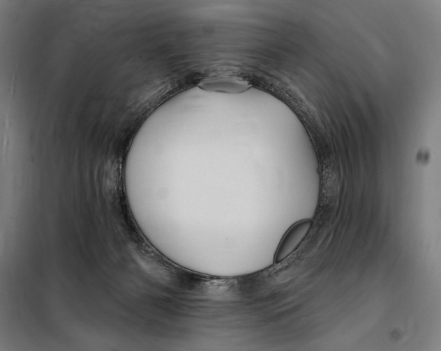 X0000097890126200804041319