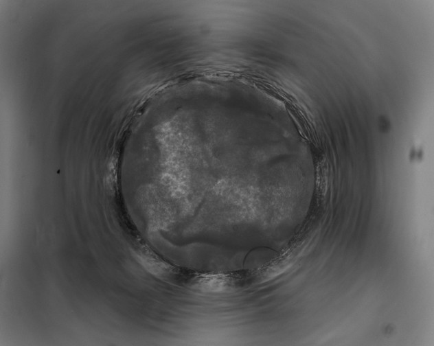 X0000097890127200804041319