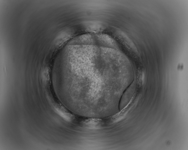 X0000097890128200804041319