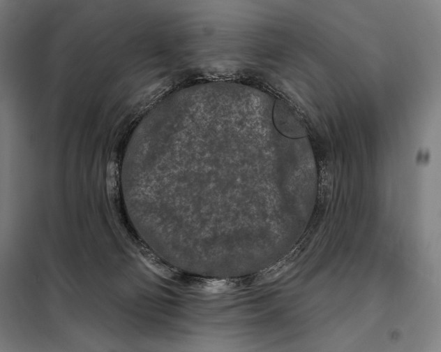 X0000097890130200804041319