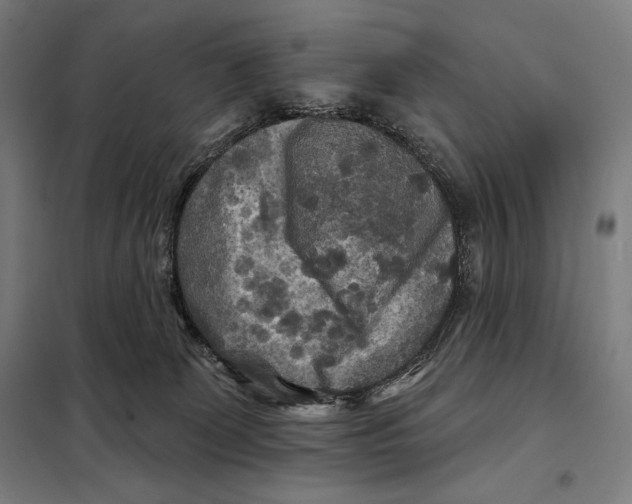 X0000097890131200804041319