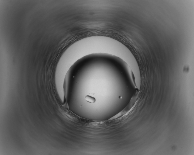 X0000097890136200804041319