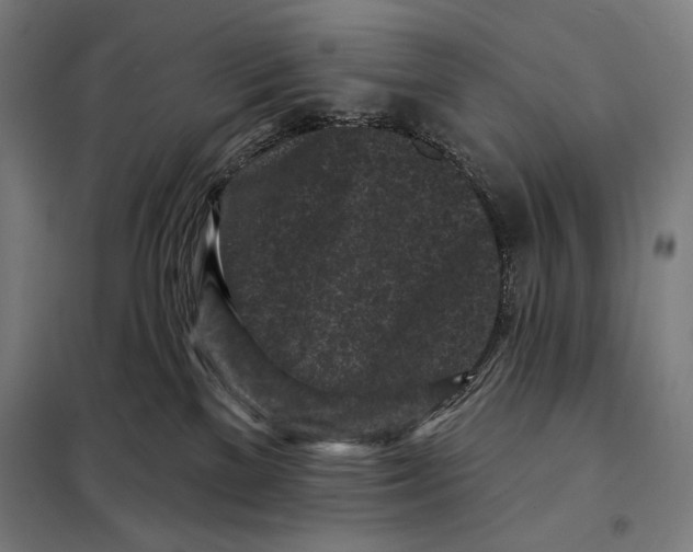 X0000097890137200804041319