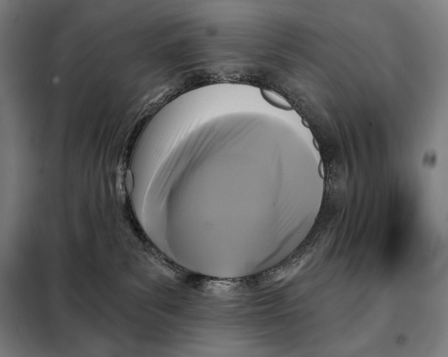 X0000097890139200804041319