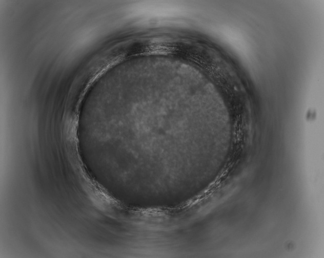 X0000097890146200804041318