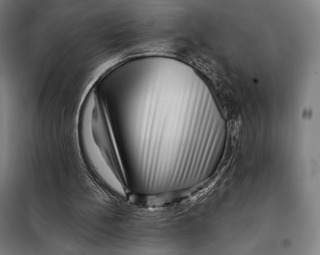 X0000097890148200804041318