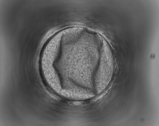 X0000097890151200804041318