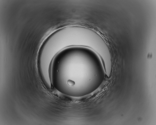 X0000097890152200804041318