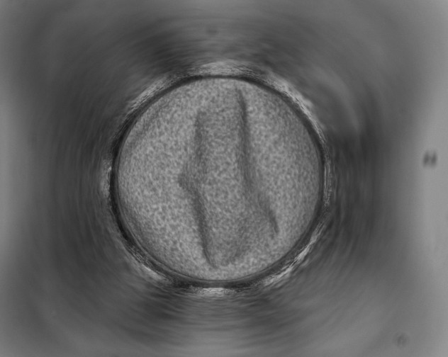 X0000097890153200804041318