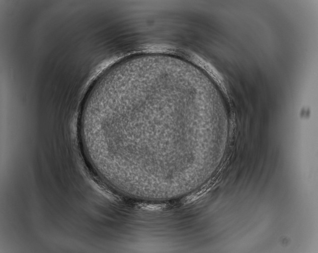 X0000097890155200804041318