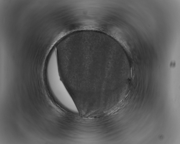 X0000097890156200804041318