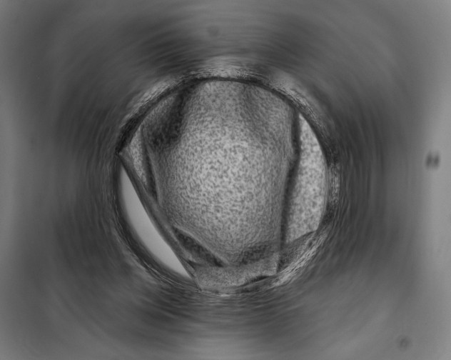 X0000097890158200804041318