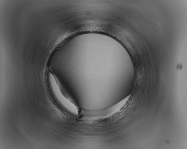 X0000097890160200804041318