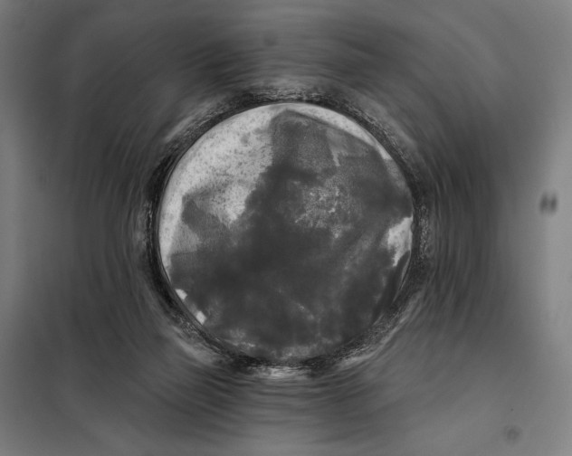 X0000097890165200804041318