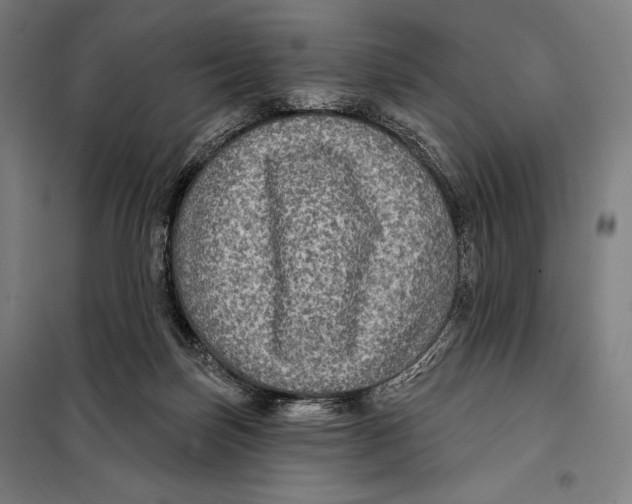 X0000097890171200804041319