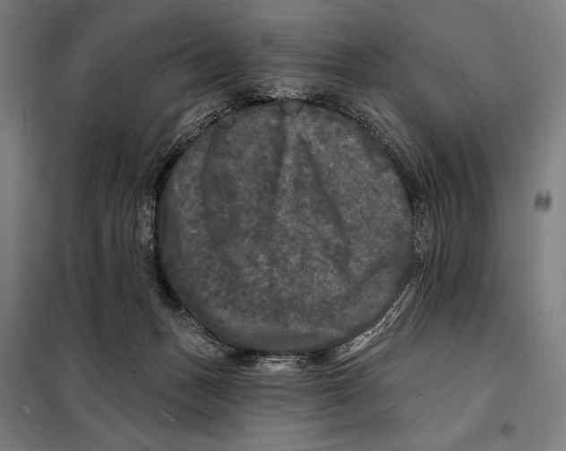 X0000097890175200804041319