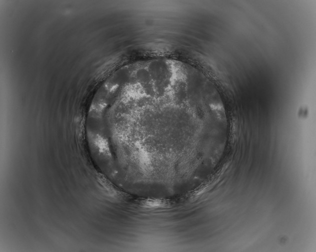 X0000097890177200804041319