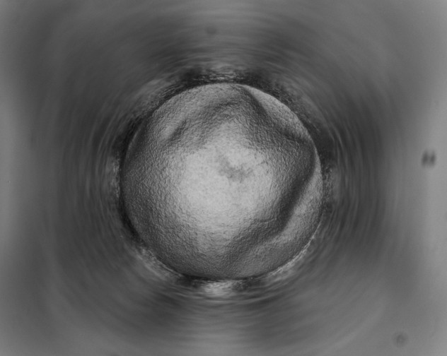 X0000097890178200804041319