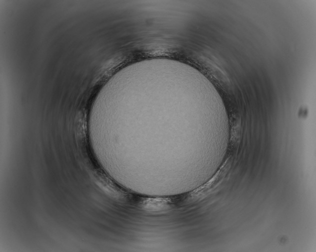 X0000097890179200804041319