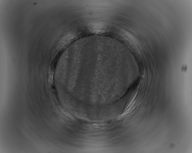 X0000097890180200804041319