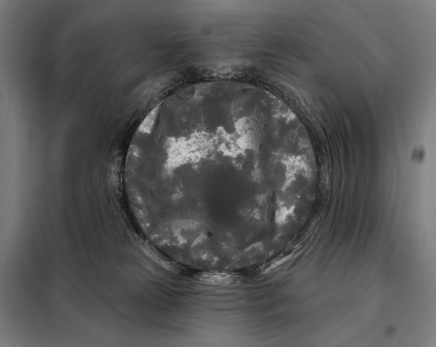 X0000097890181200804041319