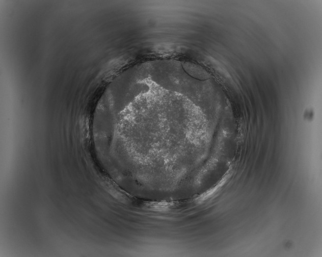 X0000097890182200804041319