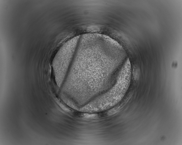 X0000097890185200804041319