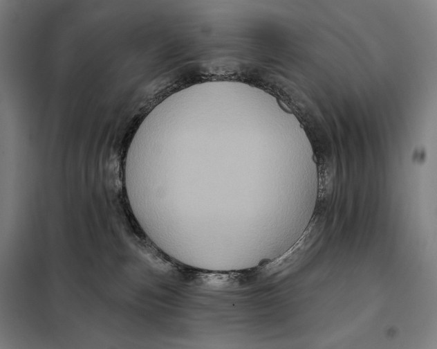 X0000097890187200804041319