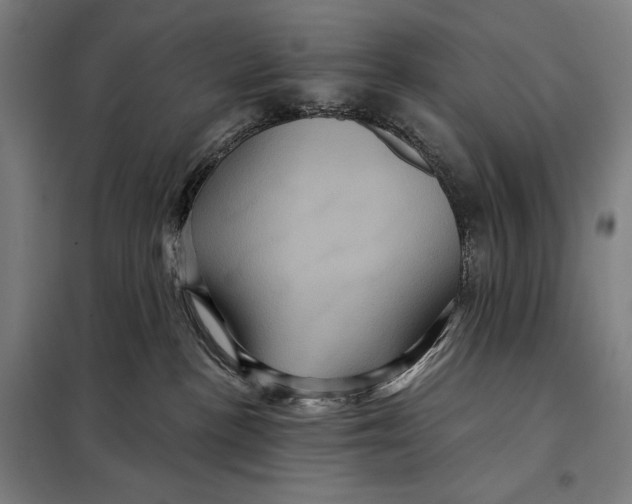 X0000097890188200804041319