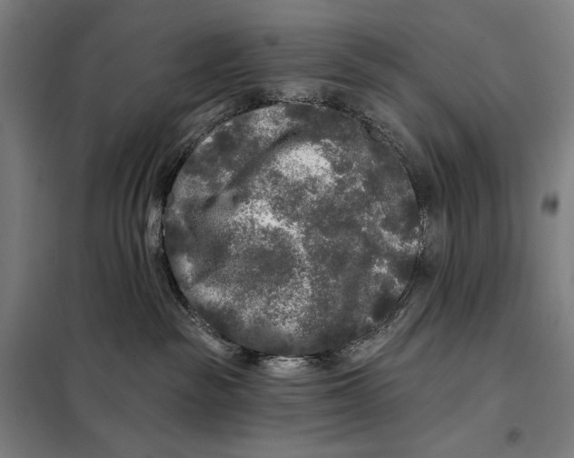 X0000097890189200804041319