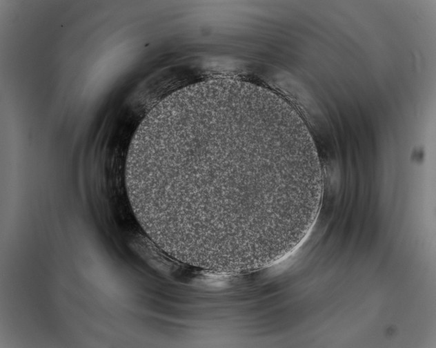 X0000097890190200804041319