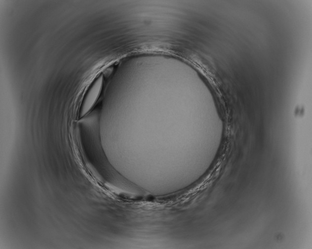 X0000097890193200804041318