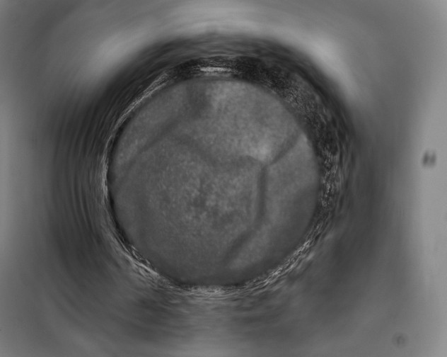 X0000097890194200804041318