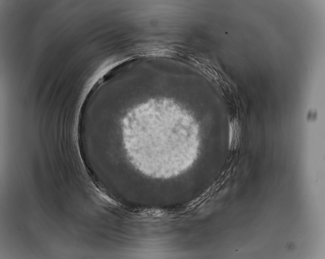 X0000097890195200804041318