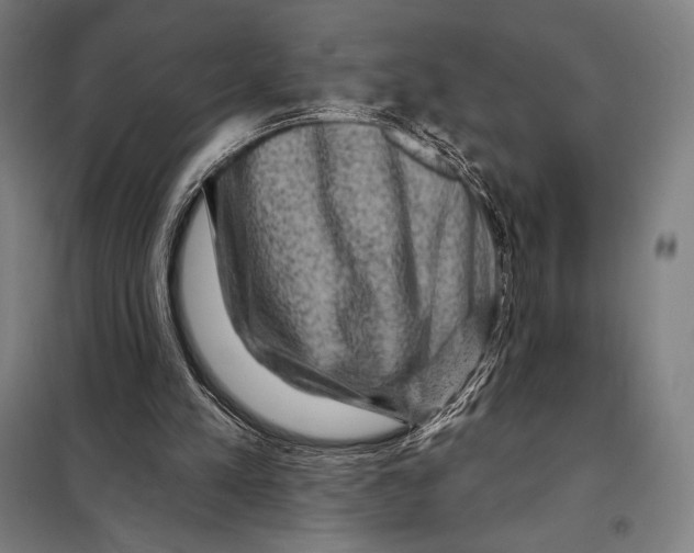 X0000097890197200804041318