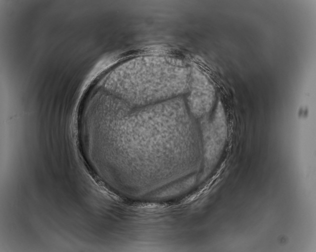 X0000097890198200804041318