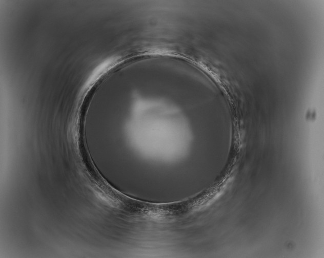 X0000097890199200804041318