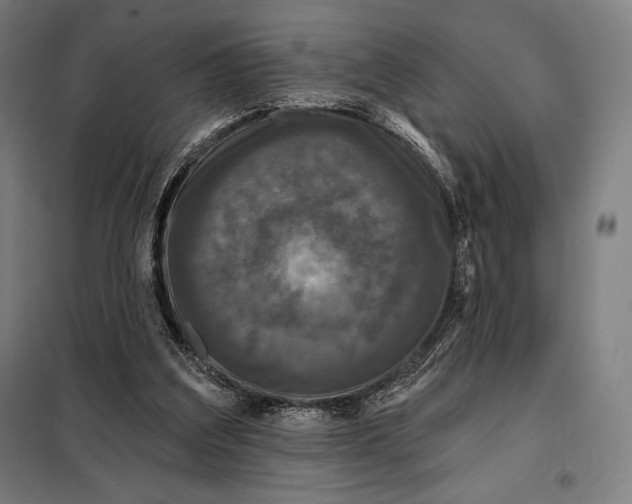 X0000097890203200804041318